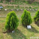 고인목장 이미지