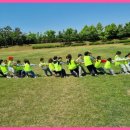 경희대 상승 태권도&점프윙스 줄넘기 이미지