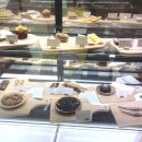 허니스티 펫 베이커리 이미지