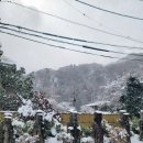 인력거 | [일본겨울오사카교토여행]눈오는 교토-아라시야마 인력거 탑승 후기