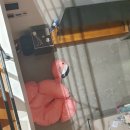 UR(제주시)-[용고로]-하-21 | 2024년 제15회 법조윤리 시험 관련 글