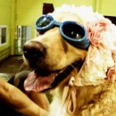 바위목욕탕 이미지