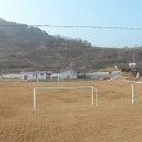 비안도초 이미지