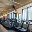 고위드짐 동남점 이미지