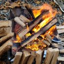 안산화랑오토캠핑장 이미지