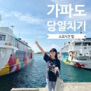 가파도 | 가파도 당일치기 후기 소요시간 산책코스 총정리 (배예약 팁 포함)