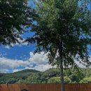 방도리 108 이미지