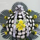 무주태권도원공공스포츠클럽