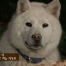 개암벌 용소 관광농원 캠핑장