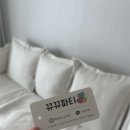 풍선향기 - 시흥시 비둘기공원7길 47 | 청주풍선 추천, 뀨뀨파티 꽃다발풍선으로 브라이덜샤워 소품 완성한 후기