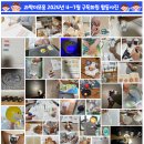 콘텐츠 구독서비스 과학이또옴 2024 하반기 구독회원 모집 정보, 후기, 초등과학실험, 과학실험키트 구독