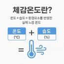 드림안전산업 | 체감온도계 왜 필요할까? 산업안전보건법 현장 사용 후기 (feat.웰센스)