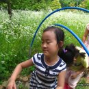 창성유치원 이미지