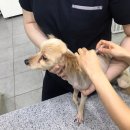 아띠동물의료센터 이미지