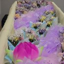 파주한빛병원 이미지