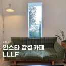 무릉리-8 | 제주 대정 카페 무릉리 엘엘엘에프 (LLLF) 유튜버 하누