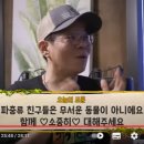 쿠펫