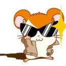 스티 카카오 검색결과