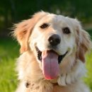 하이 동물병원 이미지