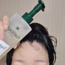 르네휘테르 트리파직 샴푸, 트리트먼트 탈모예방 후기