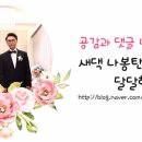 파스텔 야영장 네이버블로그