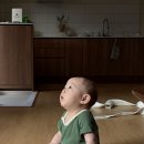 (주)소리마트 | 9개월 아기와 서귀포에서 3박한 숙소 돔뱅이온담 후기
