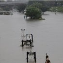 온천천일대11 이미지