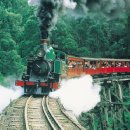 (주)라온투어 이미지