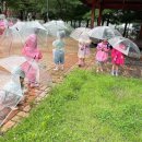 율하유치원 이미지