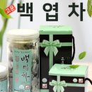맑고고운숲 - 정선군 의림로 118 | 맑고고운숲