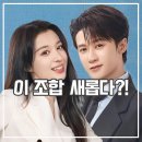 첸의하우스 | 애정유연화 후기 단건차 X 왕초연 색다른 조합 중드