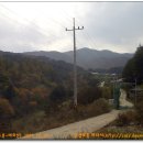 매화산목장 Daum카페