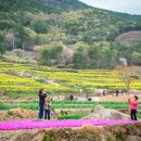 남해가봄 이미지