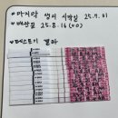 아림가스 | 화유 후 재임신 성공ㅣ임신 극초기 임테기 더블링·역전 기록 (첫 병원 방문)