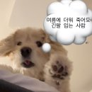 NF001 | 여름에 더워죽어도 긴팔 입는 사람의 위시템 ☀️/ 락케이크, 나체, 보헤미안서울, 애즈온, 펀프롬펀...