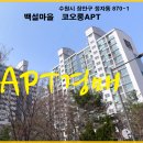 백설마을 이미지