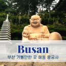 해동용궁사 | 부산 해동 용궁사 시간 주차 입장료 후기