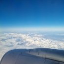 동광로14길 93 | 내단짝(우니)과 2박3일 제주도 여행 !