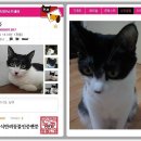 공쥬PC 이미지