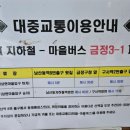 늘푸른숲 이미지