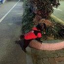 세븐일레븐 광주아쿠아시티점 | 타이베이 2박 4일 산책여행 - 광주 시외버스 / 무안공항 / 타오위안 공항 택시 / 포쉬패커 호텔