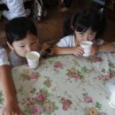 부곡허브농원 아로마빌리지 이미지