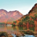 허브아일랜드민박 이미지