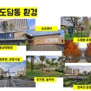 도담동싱싱장터앞BRT 이미지