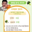 4세 유아식 반찬 아기 브로콜리 요리 크래미 그릭요거트 땅콩버터 샐러드 저열량 레시피