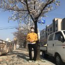 비대면 1학기 후기