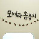 대구애견미용 모여라솜뭉치 이미지