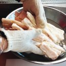 애견팡팡 이미지