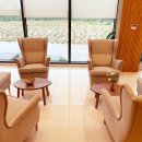 펫로스 케어 이미지