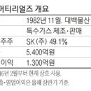 SK머티리얼즈 에어플러스(주) 이미지